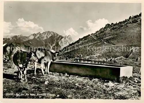 AK / Ansichtskarte  Gonzen_1829m_SG Auf der Alp beim Kurhaus Gonzen Viehtraenke 