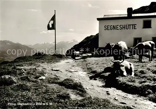 AK / Ansichtskarte  Flims_GR Segneshuette Flims_GR