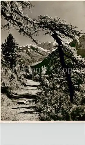 AK / Ansichtskarte Muottas_Muragl_Muottas_Murail_2453m_GR Hoehenweg Muottas Muragl Alp Languard mit Piz Palue und Bellavista 