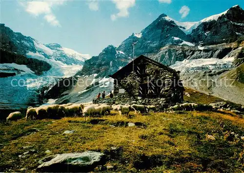 AK / Ansichtskarte Linthal__GL Fridolinshuette der Sektion Toedi 