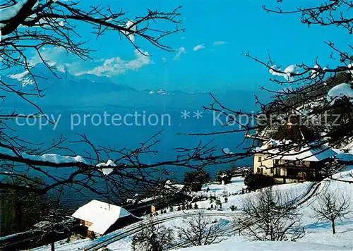 AK / Ansichtskarte Merligen_Thunersee Panorama mit Gut Ralligen 
