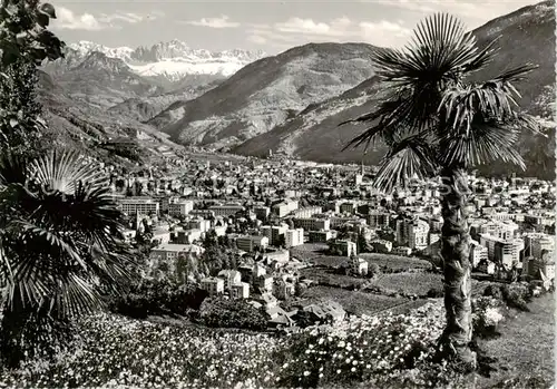 AK / Ansichtskarte Bozen_Bolzano_Suedtirol_IT Panorama Blick gegen den Rosengarten Dolomiten 