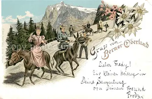 AK / Ansichtskarte 73843384 Wandern Berner Oberland Eseln Frauen 