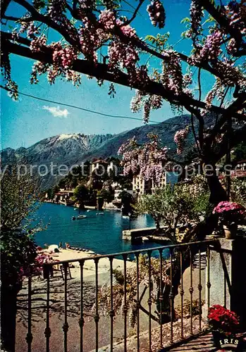 AK / Ansichtskarte  Ascona_Lago_Maggiore_TI Collina S Michele 