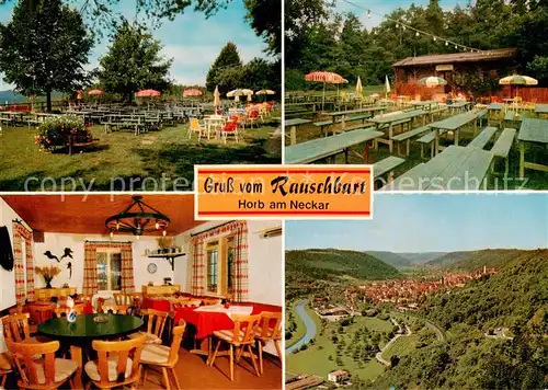 AK / Ansichtskarte Horb_Neckar Aussichtsplatte Rauschbart Gastraum Freiterrasse Panorama Horb Neckar