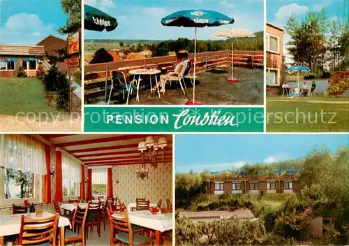 AK / Ansichtskarte Tiessau Pension Constien Gastraum Terrasse Bungalows Tiessau