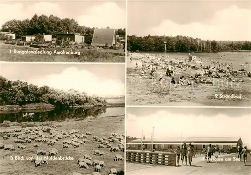 AK / Ansichtskarte  Thuemlitzsee_Grimma Bungalowsiedlung Amalienburg Blick von der Muldenbruecke Strandbad Terrasse am See Thuemlitzsee Grimma