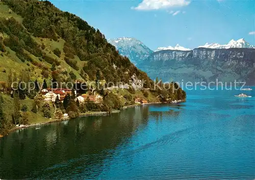 AK / Ansichtskarte  Gersau_Vierwaldstaettersee_SZ mit Frohnalpstock Kaiserstock und Rophaien 