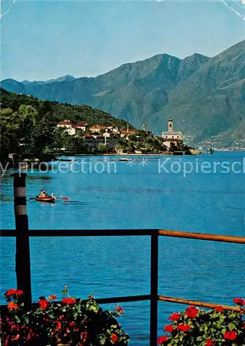 AK / Ansichtskarte  Vira_Gambarogno Vista da Magadino Vira Gambarogno