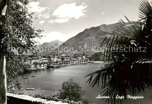 AK / Ansichtskarte  Ascona_Lago_Maggiore_TI Panorama 
