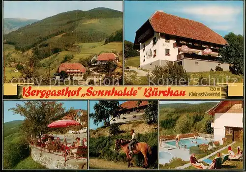 AK / Ansichtskarte Buerchau Panorama Berggasthof Sonnhalde Terrasse Reiter Schwimmbad Buerchau