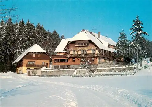 AK / Ansichtskarte Fohrenbuehl Cafe Pension Guenther Lauble Fohrenbuehl