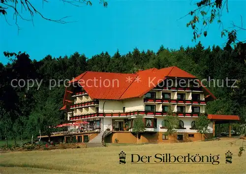 AK / Ansichtskarte Bleibach_Gutach_Breisgau Hotel Restaurant Cafe Der Silberkoenig 