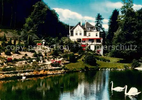 AK / Ansichtskarte  Rengsdorf Hotel Pension Waldcafe Obere Muehle Schwanenteich Rengsdorf