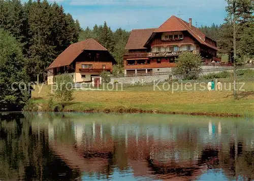 AK / Ansichtskarte  Fohrenbuehl Cafe Pension Guenter Lauble Fohrenbuehl