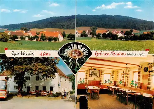 AK / Ansichtskarte 73844945 Waizenfeld Panorama Gasthaus zum Gruenen Baum Terrasse Gastraum Waizenfeld