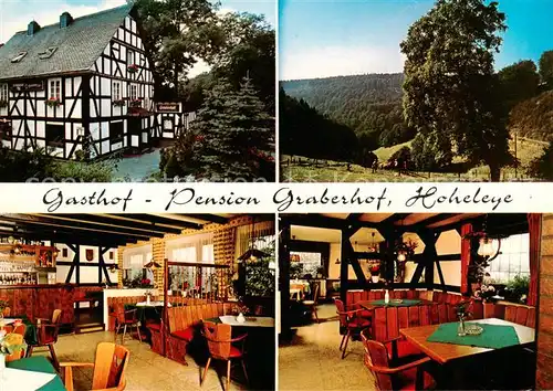 AK / Ansichtskarte  Hoheleye Gasthof Pension Graberhof Panorama Gastraeume Hoheleye