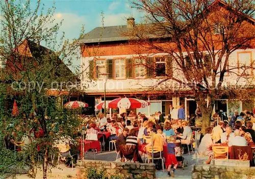 AK / Ansichtskarte  Frauenstein_Wiesbaden Gaststaette Weingut Hof Nuernberg Frauenstein_Wiesbaden