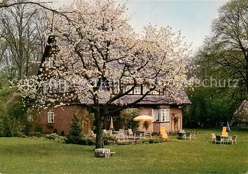 AK / Ansichtskarte 73845019 Wilsede_Lueneburger_Heide Witthoefts Gaestehaus Wilsede_Lueneburger_Heide