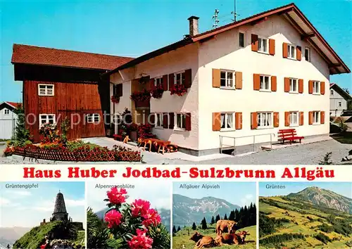 AK / Ansichtskarte  Schlechtenberg_Allgaeu Haus Huber Jodbad Sulzbrunn Gruentengipfel Alpenrosenbluete Allgaeuer Alpvieh Gruenten Schlechtenberg_Allgaeu