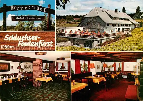 AK / Ansichtskarte  Faulenfuerst_Schluchsee Hotel Restaurant Herrenhof Terrasse Gastraeume 