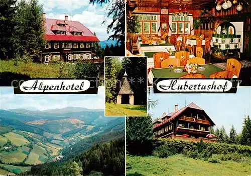 AK / Ansichtskarte  Wartberg_Muerztal Alpenhotel Hubertushof Gaststube Panorama Wartberg Muerztal