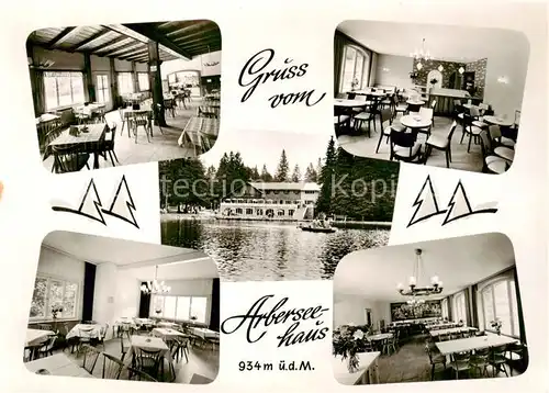 AK / Ansichtskarte 73845413 Arbersee_Bayerisch_Eisenstein Arberseehaus Gastraeume Seepartie 