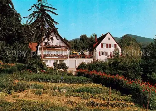 AK / Ansichtskarte  Schliengen Haus am Blauenbach Schliengen