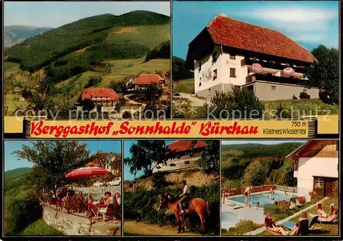 AK / Ansichtskarte Buerchau Kleines Wiesental Berggasthof Sonnhalde Terrasse Reiten Pool  Buerchau