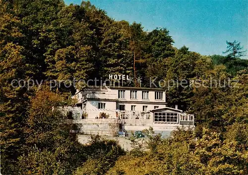 AK / Ansichtskarte Schriesheim Waldhotel Luisenhoehe Schriesheim