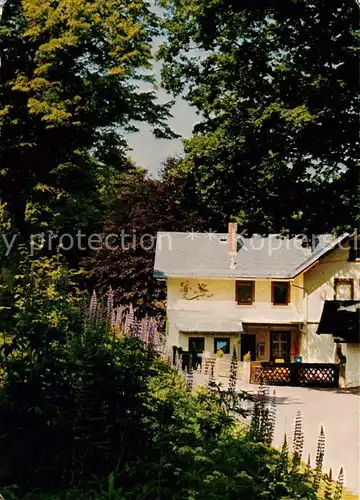 AK / Ansichtskarte Thierstein_Bayern Wald Cafe Wellertal 