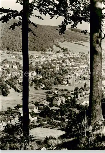 AK / Ansichtskarte Sonneberg__Thueringen Koeppelsdorf Panorama 