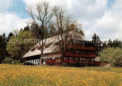AK / Ansichtskarte Gremmelsbach_Triberg Hoehengasthaus Pension Zur Staude 