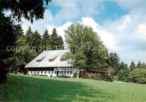 AK / Ansichtskarte Gremmelsbach_Triberg Hoehengasthaus Pension Zur Staude 