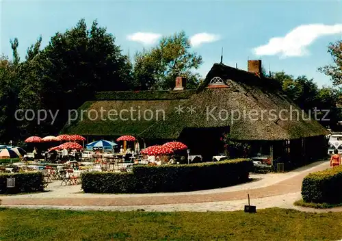 AK / Ansichtskarte Bad_Dreibergen Ammerlaender Gaststaette und Gaestehaus Seerose Gartenterrasse Bad_Dreibergen