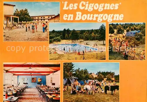 AK / Ansichtskarte  Messigny-et-Vantoux_21_Cote-d_Or Les Cigognes Domaine Ste Anne Vue partielle 