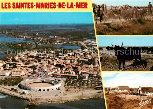 AK / Ansichtskarte  Les_Saintes-Maries-de-la-Mer Vue aerienne les arenes Leglise fortifiee Les Mareis Manade de chevaux taureaux maisons camarguaises Les