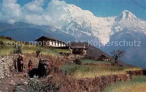 AK / Ansichtskarte  Pokhara_Nepal Barley Fields and the Annapurna Range 