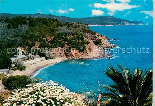 AK / Ansichtskarte  Antibes_06_Alpes_Maritimes Calanque et vegetations Méditerranéenes Kuestenpanorama 