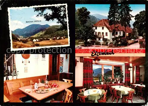 AK / Ansichtskarte 73847516 Etzenbach_Staufen_Breisgau Landgasthaus Etzenbach im Schwarzwald Panorama Blick zum Belchen Etzenbach_Staufen
