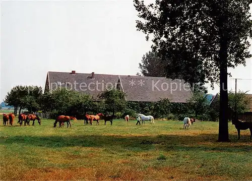 AK / Ansichtskarte  Havixbeck Urlaub auf dem Bauernhof Hof Mormann Reiterferien Reitstall Havixbeck