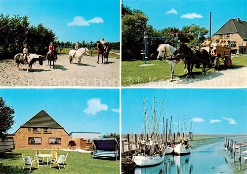 AK / Ansichtskarte 73847836 Tuemlauer_Koog Bauernhof und Ferienhof Frey Ponyreiten Pferdekutsche Garten Bootsliegeplatz 