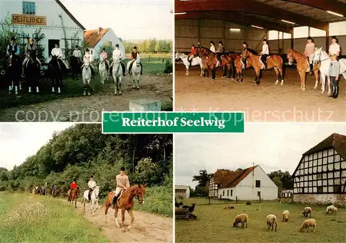 AK / Ansichtskarte 73847924 Clenze Reiterhof Seelwig Reithalle Reiter Schafe Clenze