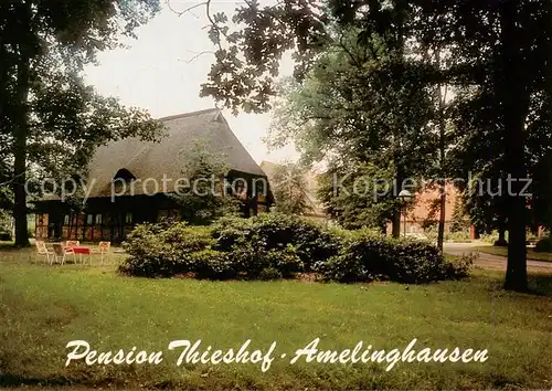 AK / Ansichtskarte  Amelinghausen_Lueneburger_Heide Pension Thieshof Amelinghausen_Lueneburger