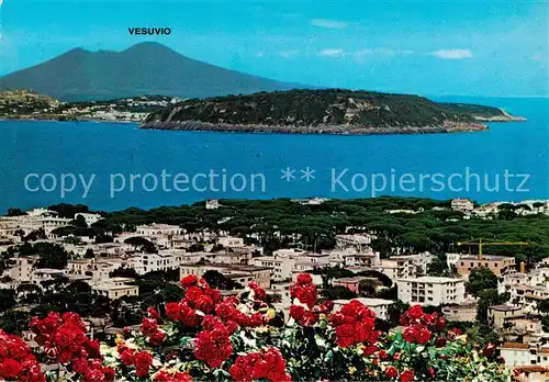 AK / Ansichtskarte 73848026 Ischia_IT Vista aerea e Vesuvio 