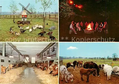 AK / Ansichtskarte  Nindorf_Hohenwestedt Ketelsen Hof Muehle Lagerfeuer Kuhstall Esel und Ponys 