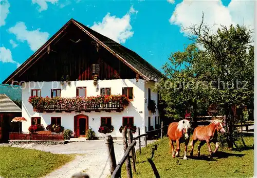 AK / Ansichtskarte 73848443 Thalgau_AT Urlaub auf dem Bauernhof Hans und Lisl Bichler 