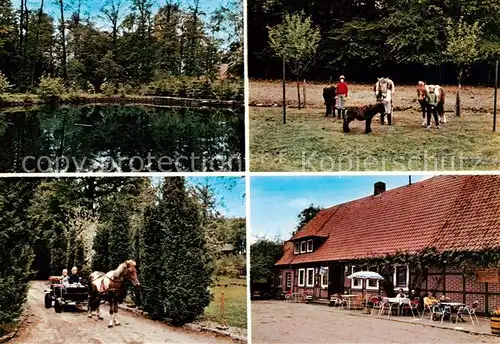 AK / Ansichtskarte 73848474 Harber_Moor Urlaub auf dem Bauernhof Pension Willenbockel Ponyreiten Kutschfahrten Teich Harber Moor