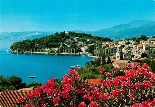 AK / Ansichtskarte  Cavtat_Croatia Panorama 