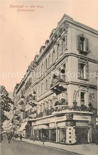 AK / Ansichtskarte  Karlsbad_Eger_Karlovy_Vary Alte Wiese Gruenbaumhaus 